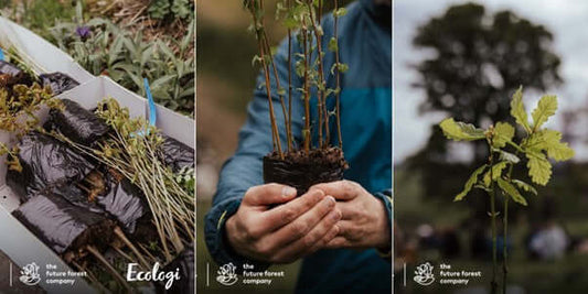 Climate action at your fingertips - The Painted Kitchen Company Ltd