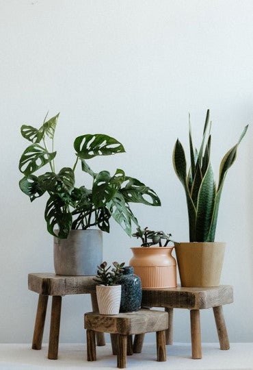 Five Methods -  Botanical interior can enhance your kitchen aesthetic - The Painted Kitchen Company Ltd