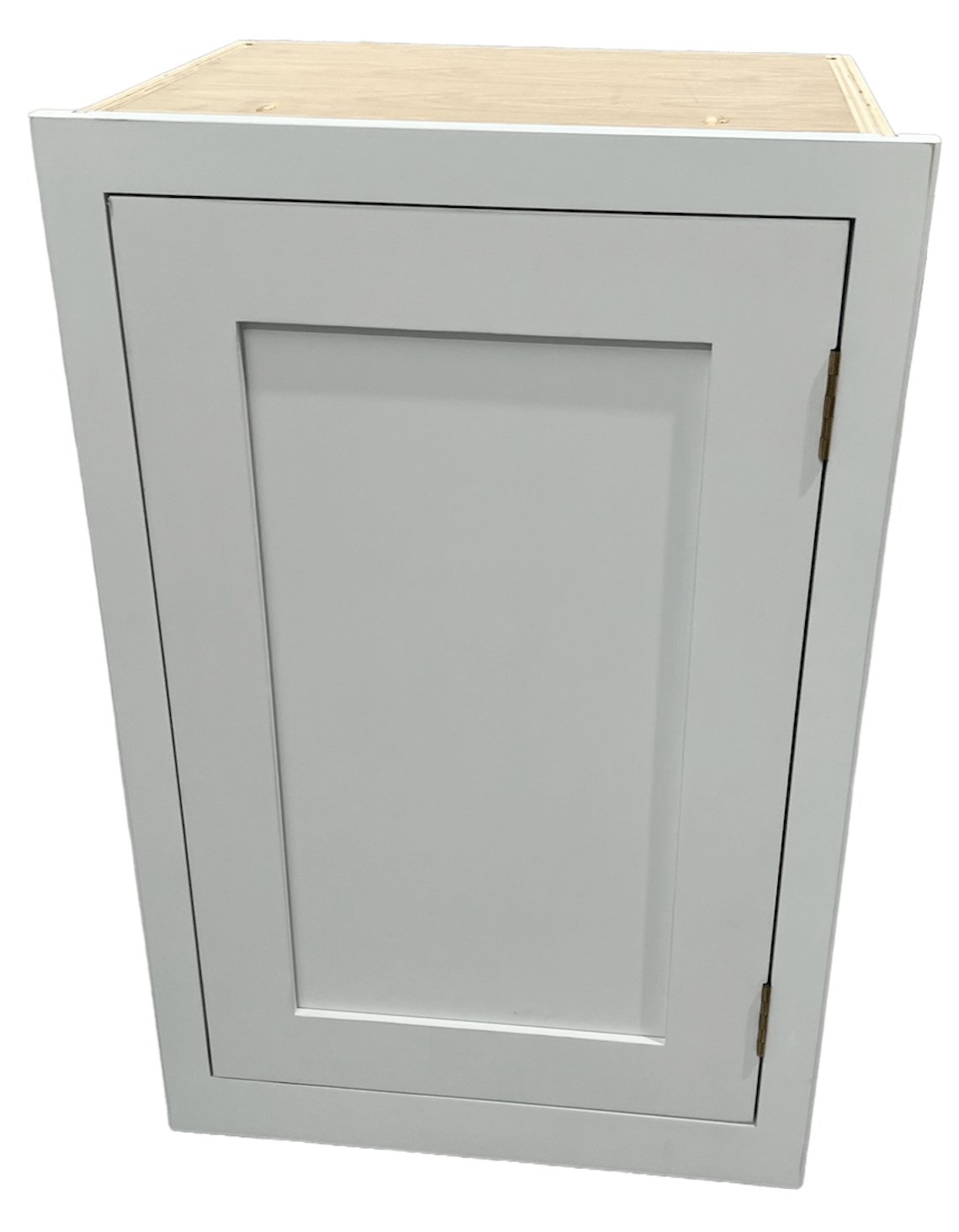 Wall Cabinet WC 500 500mm Single Door Wall Cabinet The Painted wall-cabinet-wc-500-500mm-single-door-wall-cabinet-the-painted